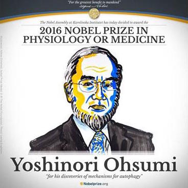 nobel-prize-2016-physiology-yoshinori-2016