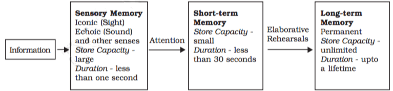 Models Stages of Memory