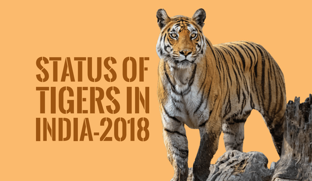 The Tigers 4 Hindi Free Download