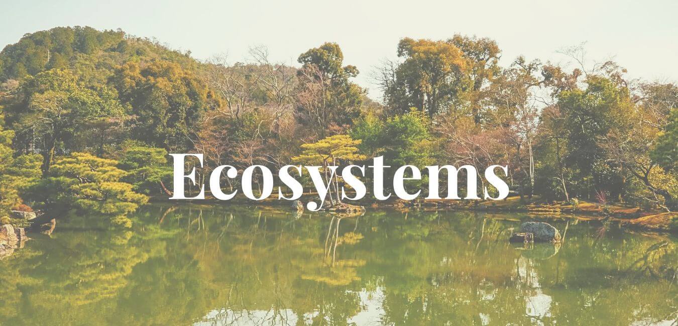 types of ecosystem pdf