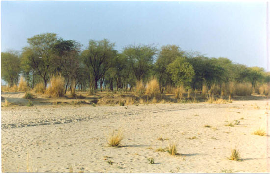 Desertification in Rajasthan | Soil Conservation in Rajasthan
