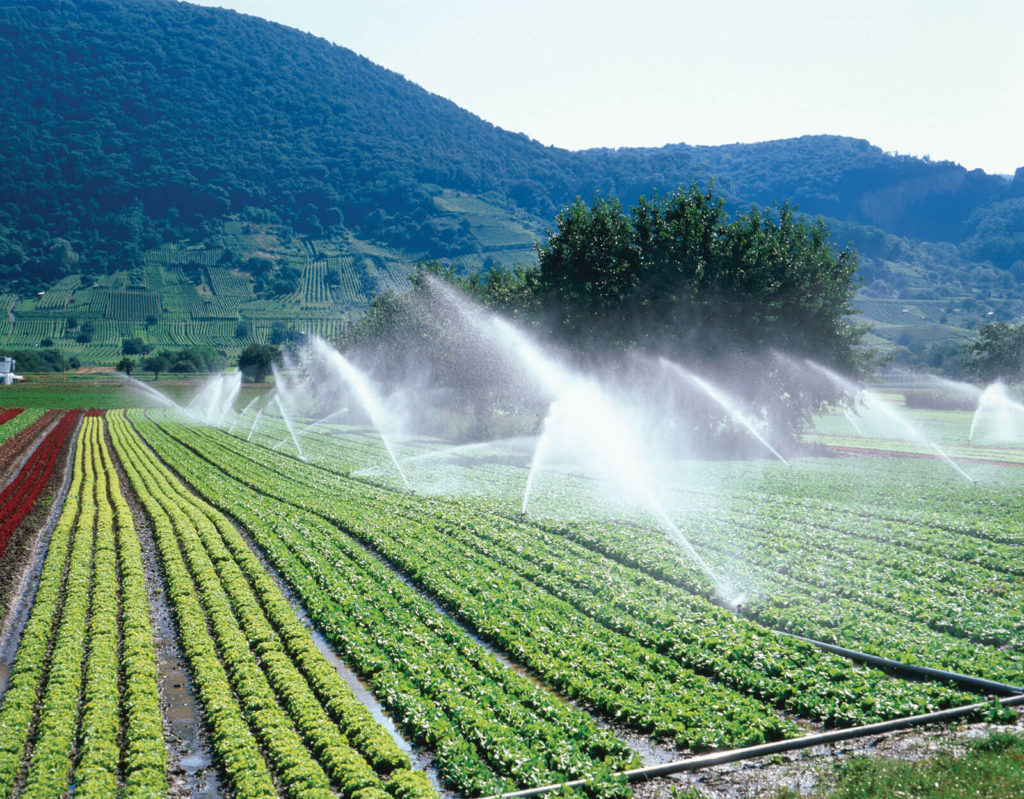 Irrigation in Rajasthan- Area, Sources, Types, Potential