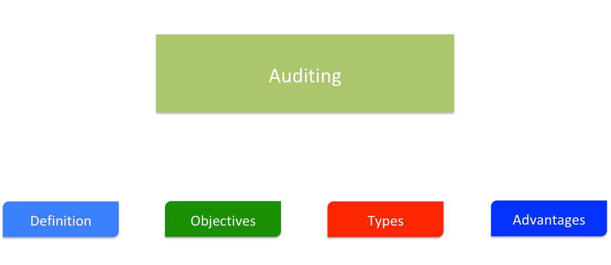 Auditing Meaning Objectives Errors And Frauds RajRAS RAS Exam 