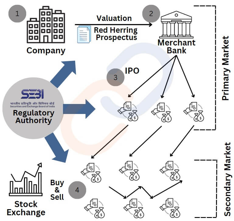 Stock Market