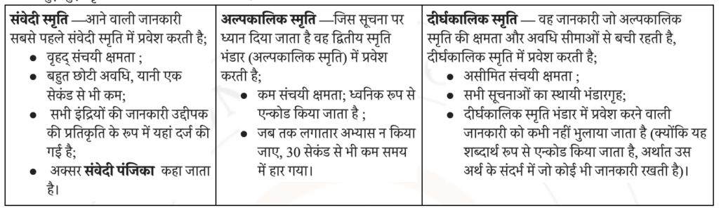 स्मृति के 3 चरण मॉडल 