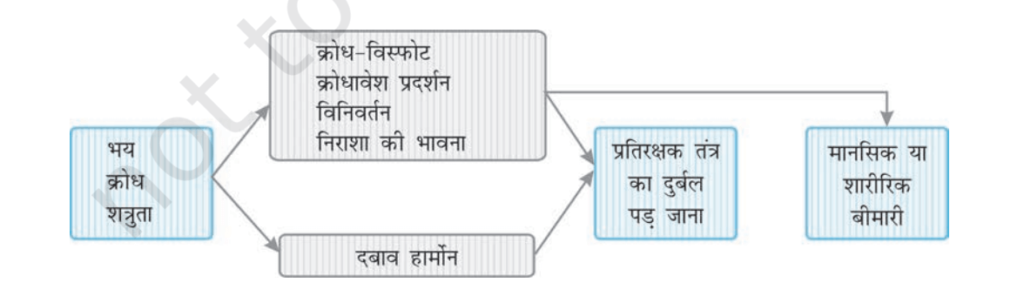 प्रतिबल/दबाव एवं प्रबंधन