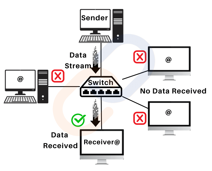 Basic computer science Networking and types