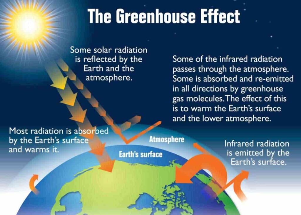 Greenhouse Effect