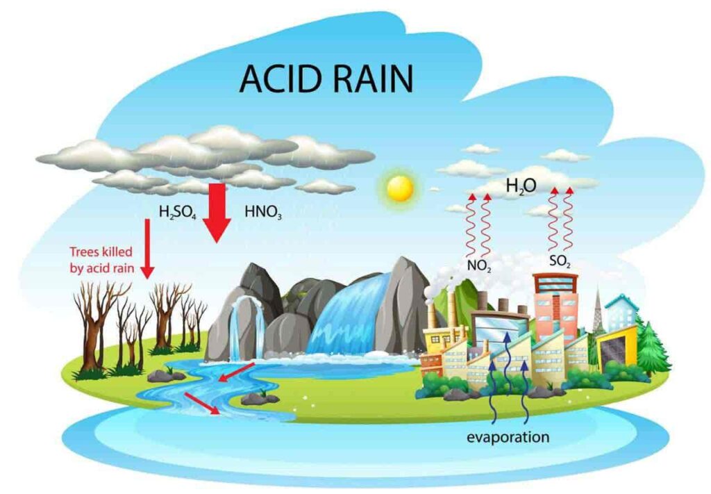 Acid Rain