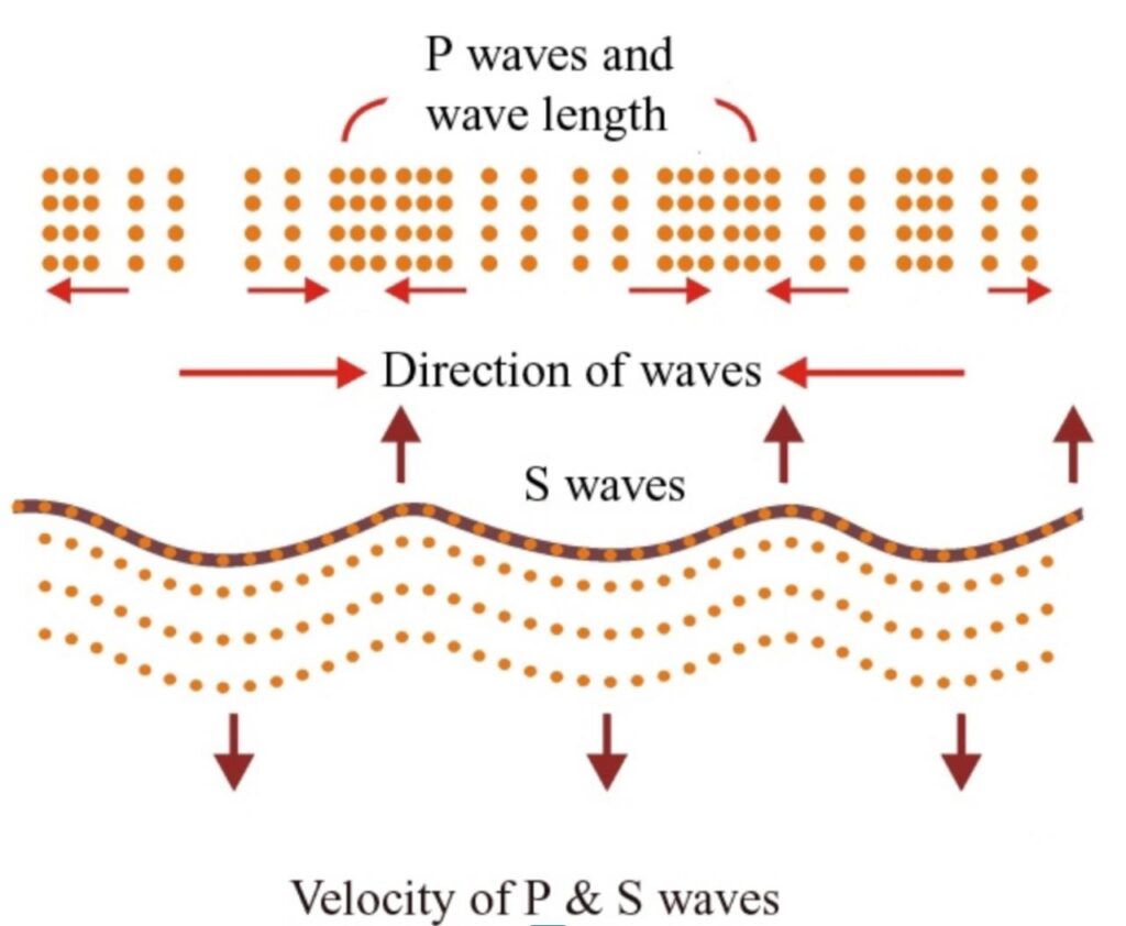 Primary or Longitudinal Waves, Secondary or Transverse Waves