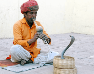 Folk Music and Musical Instruments of Rajasthan - Connect Civils