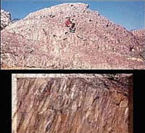 Barr Conglomerate, Pali
