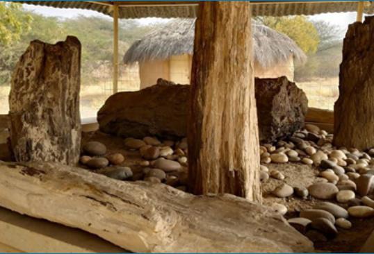 Akal Fossil Wood Park,Jaisalmer