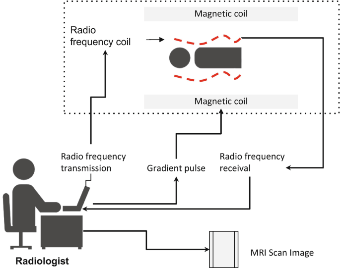 Magnetic resonance imaging | चुंबकीय अनुनाद इमेजिंग