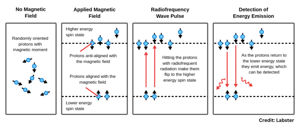 Nuclear Magnetic Resonance