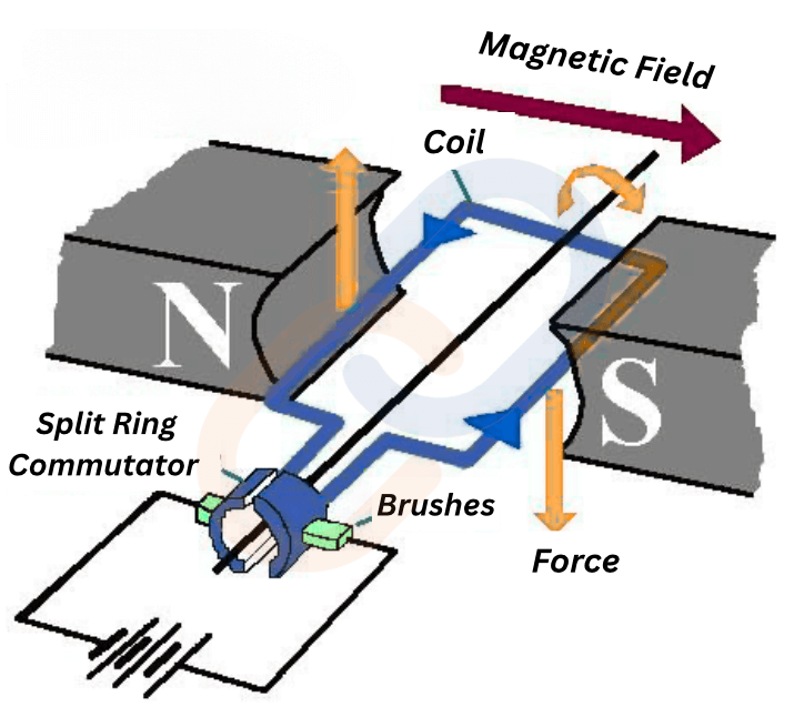 Magnetism & Electro-Magnetism