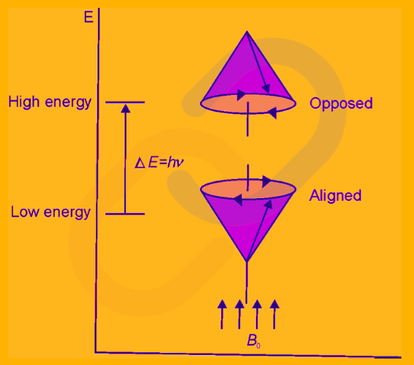 Nuclear Magnetic Resonance