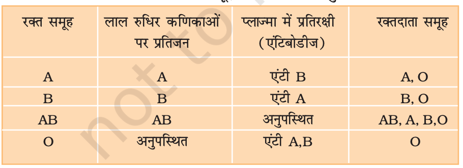 रक्त समूह रक्त की संरचना व कार्य