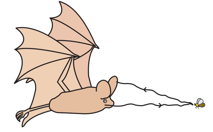 Sound and Electro-Magnetic Waves