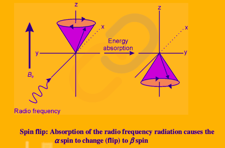 Nuclear Magnetic Resonance