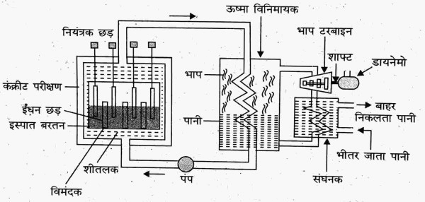 नाभिकीय विखंडन और संलयन