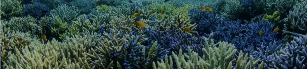 Environment and ecological changes and their impact 