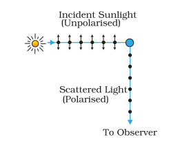 Basics of everyday science