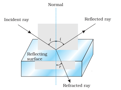 Basics of everyday science
