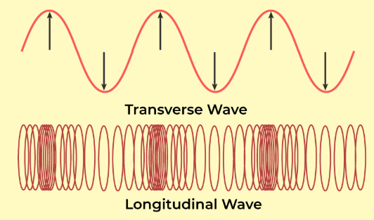 Basics of everyday science