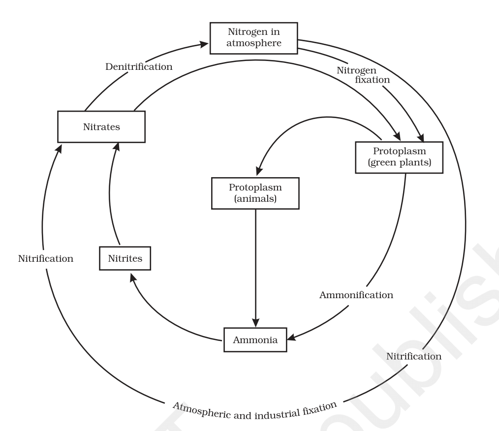 Environment and ecological changes and their impact 