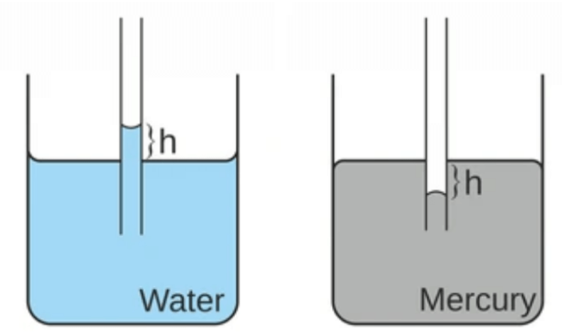 Basics of everyday science