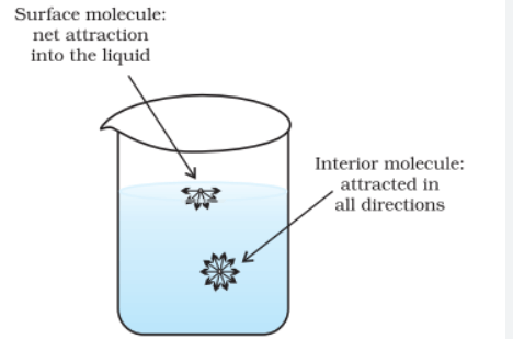 Basics of everyday science