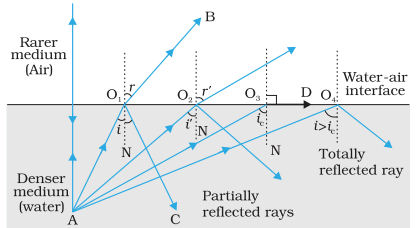 Basics of everyday science