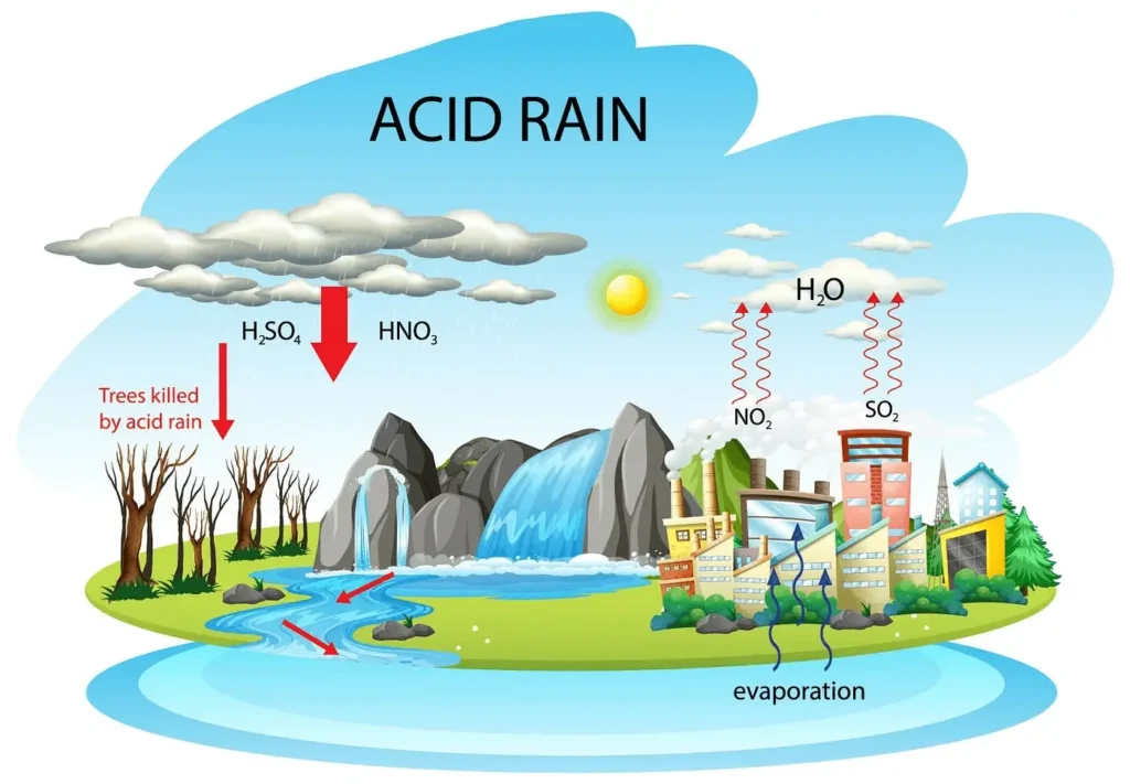 Acid Rain & Loss of Biodiversity