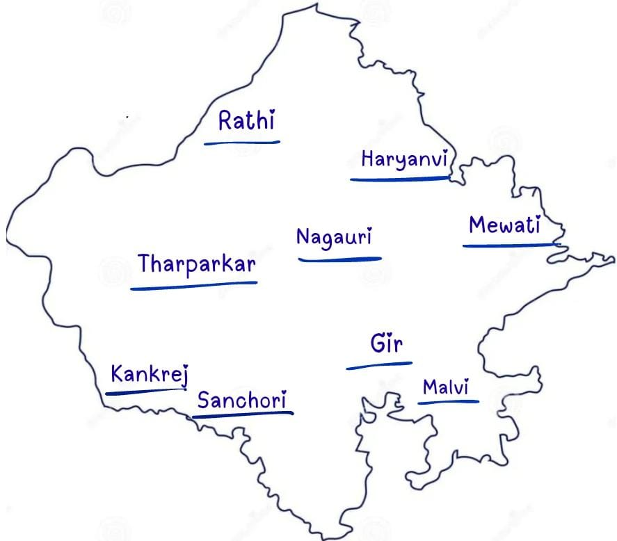 राजस्थान में पशुधन