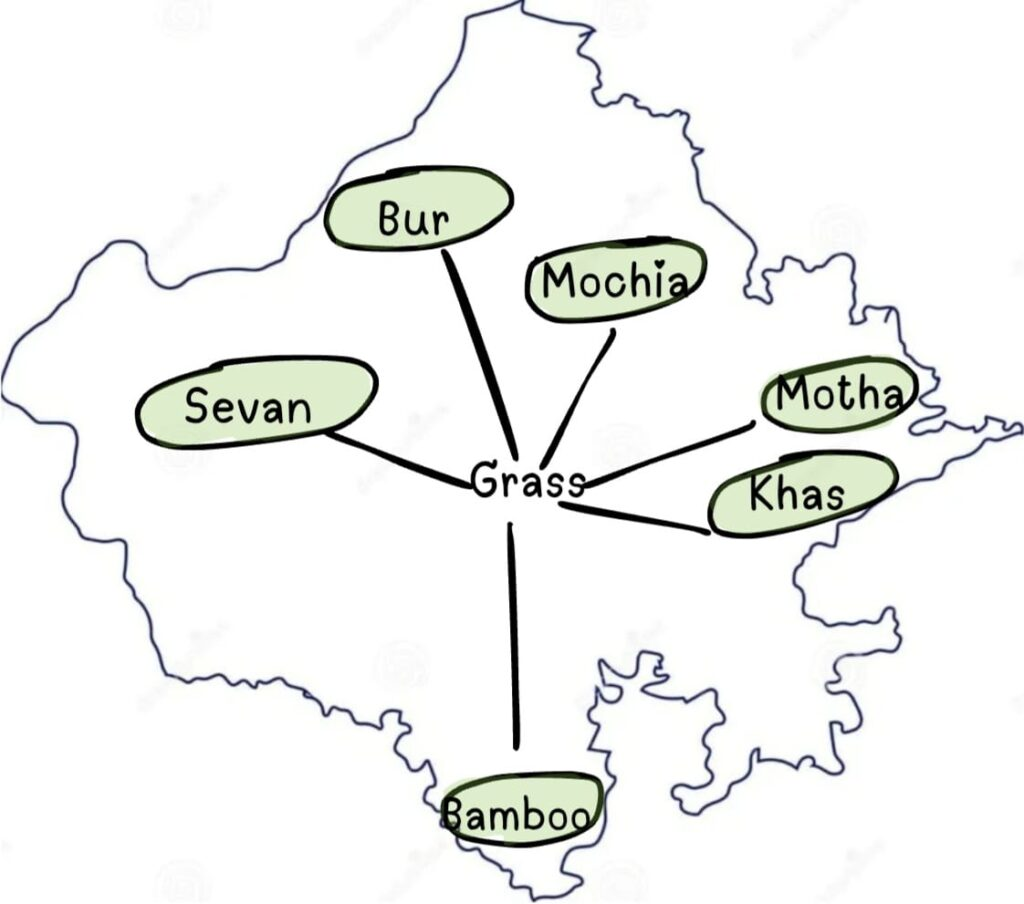 राजस्थान की प्राकृतिक वनस्पति