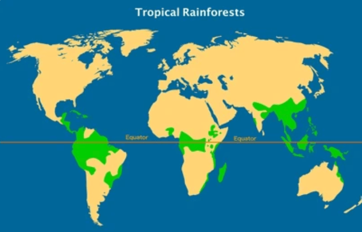 प्राकृतिक वनस्पति