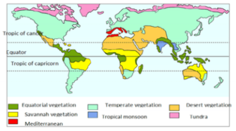 प्राकृतिक वनस्पति