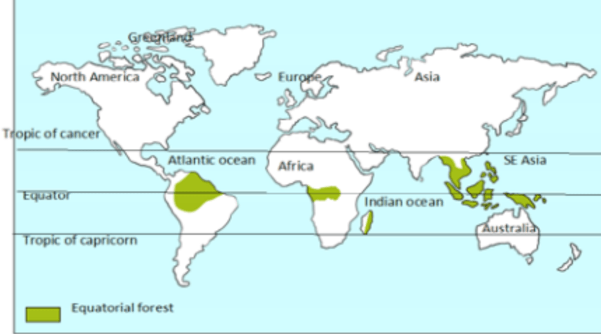 प्राकृतिक वनस्पति