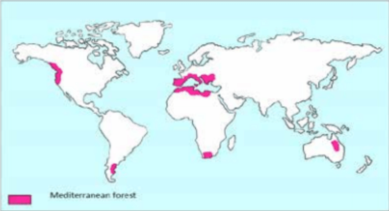 प्राकृतिक वनस्पति