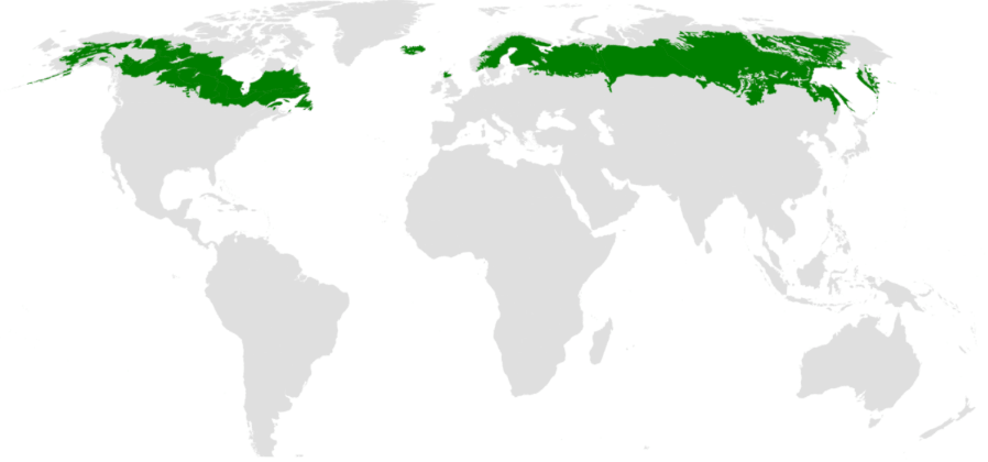 प्राकृतिक वनस्पति