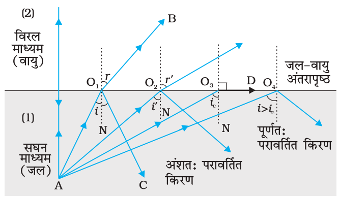 दैनिक जीवन में विज्ञान