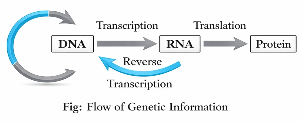 Genetic Engineering and Biotechnology