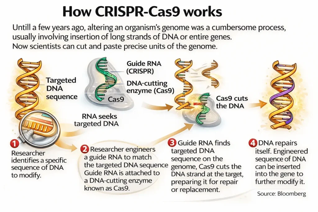 Genetic Engineering and Biotechnology