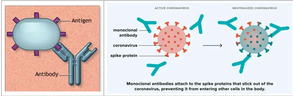 आनुवंशिक अभियांत्रिकी और जैव प्रौद्योगिकी