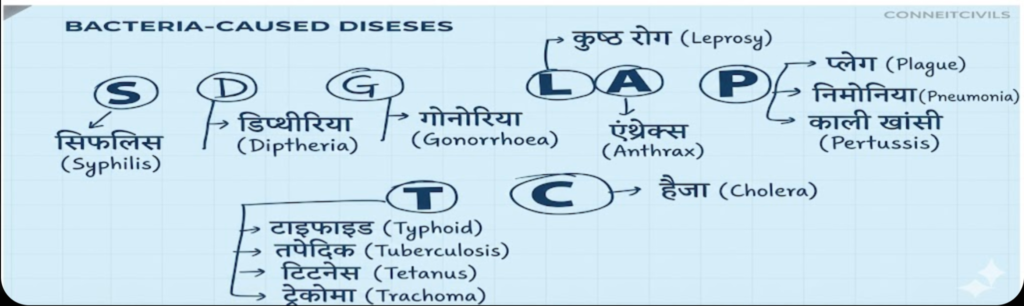 स्वास्थ्य सेवा