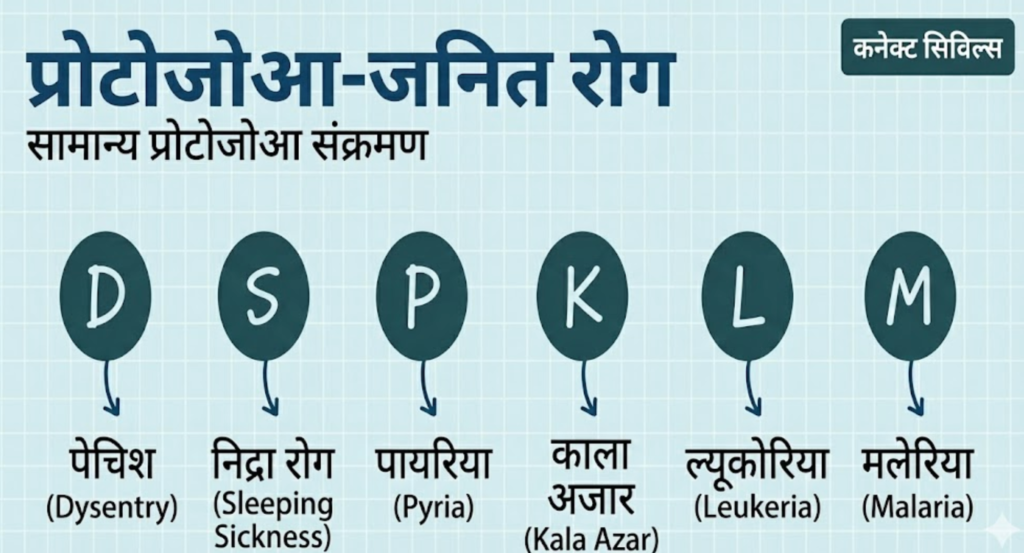 स्वास्थ्य सेवा