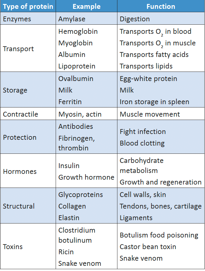 Food and Nutrition