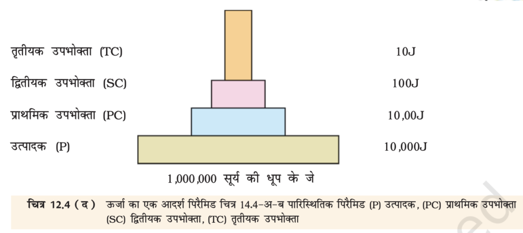 पर्यावरण और पारिस्थितिकीय परिवर्तन